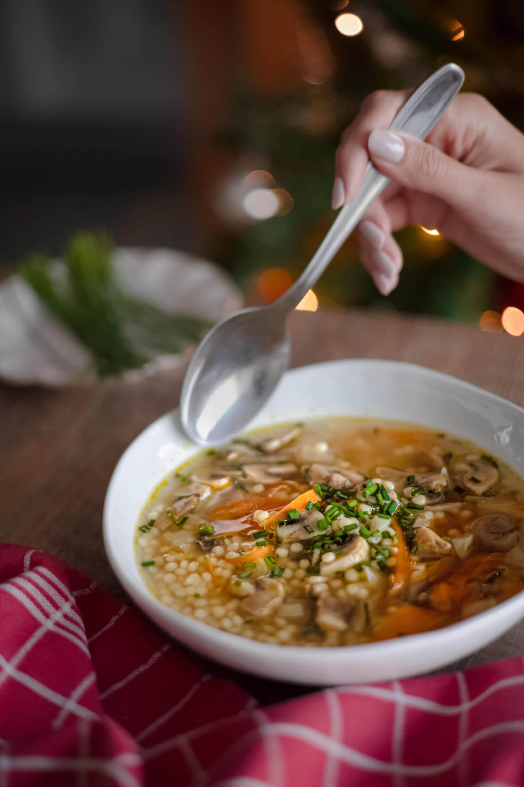 canja-cogumelos-vegan-portuguese-mushroom-broth-1-3