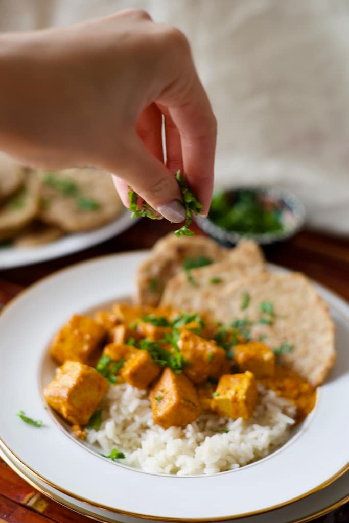 Vegan-Butter-Tofu-de-Manteiga-Indiano-Tofu-Makhani - 7
