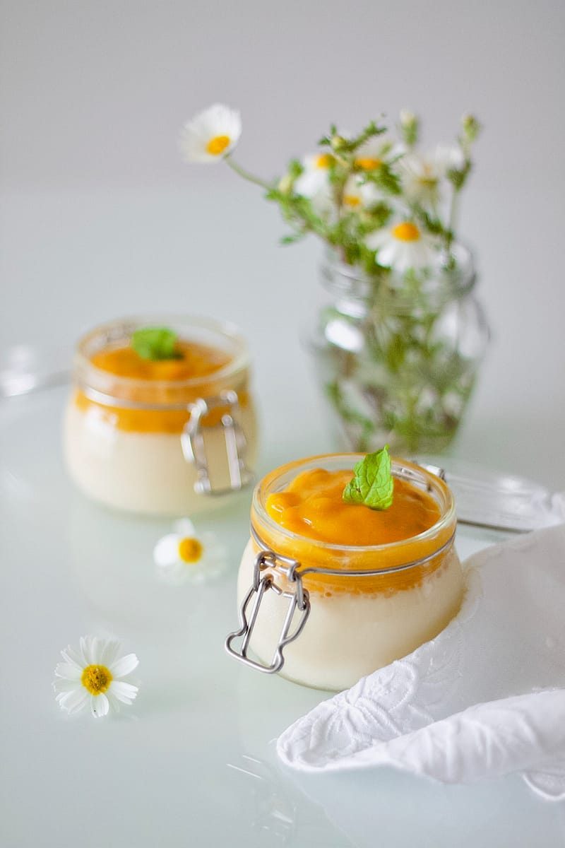 healthy-vegan-panna-cotta-panacota-saudável-15